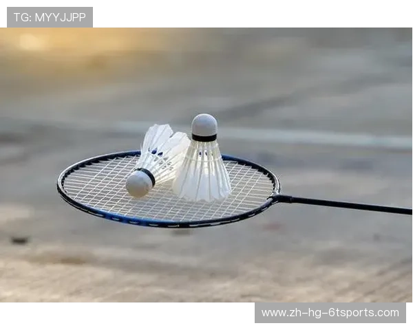 羽毛球小球包括