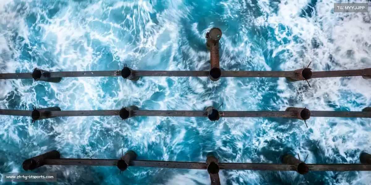 6T体育——活力点燃赛场，运动成就梦想～🏃‍♂️